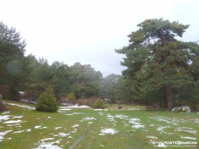 Picos Urbión-Laguna Negra Soria;hayedo de ciñera parque natural izki hayedo de montejo rutas carac